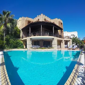 https://villa-cosy-bodrum.aegeanhotels.net